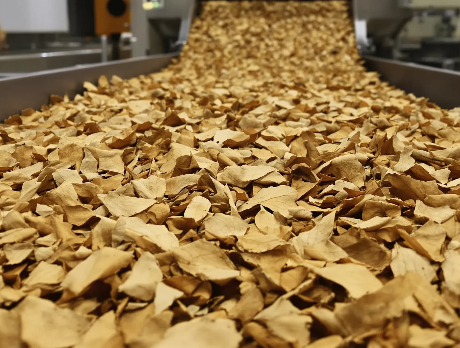 Close-up of tobacco lamina strips